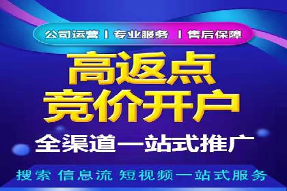 竞价排名案例：跨平台推广效果分析